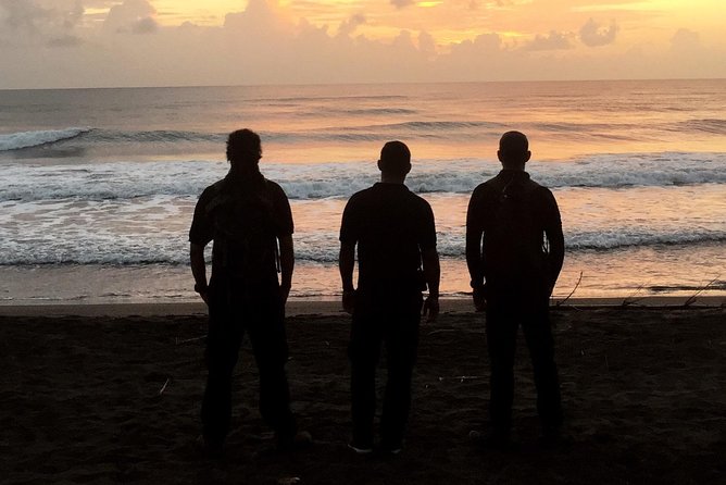 Turtle Tour - What happens at Tortuguero National Park