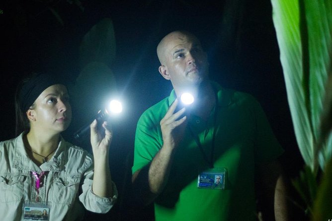 Turtle Tour - Prepare for darkness, weather, and a long walk