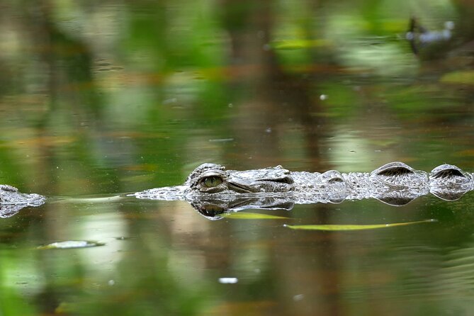 Wildlife Safari Float by Kayak in Peñas Blancas River from Arenal - Guides who keep the trip moving